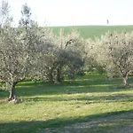 La Gozzetta
