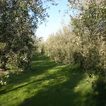 호텔 La Gozzetta 산타루체