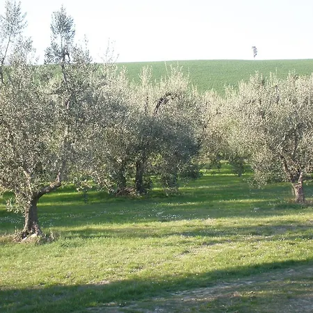 La Gozzetta
