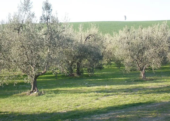 La Gozzetta